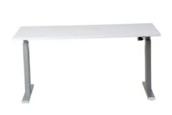 PROREGAL Elektrisch Höhenverstellbarer Schreibtisch Zebra | HxBxT 70-116x160x80 Cm | Silber-Weiß