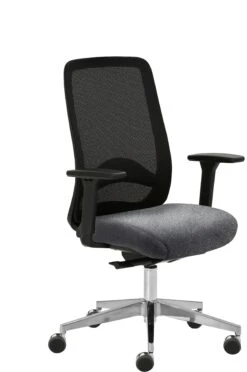 Mayer Sitzmöbel, Drehstuhl 2228, Türkis, 2228_AV3D_SYM++_XXL_30616 12 Mayer Sitzmöbel, Drehstuhl 2228, Türkis, 2228_AV3D_SYM++_XXL_30616 -Büromöbel Geschäft 790c3b02 6fed 48c1 a2a1 b539a8e5d73a