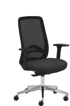 Mayer Sitzmöbel, Drehstuhl 2228, Türkis, 2228_AV3D_SYM++_XXL_30616 10 Mayer Sitzmöbel, Drehstuhl 2228, Türkis, 2228_AV3D_SYM++_XXL_30616 -Büromöbel Geschäft a5f18766 6883 42a6 a97a bf1105b46c93