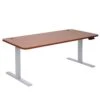 Schreibtisch HWC-D40, Computertisch, Elektrisch Höhenverstellbar 160x80cm 53kg ~ Natur, Grau